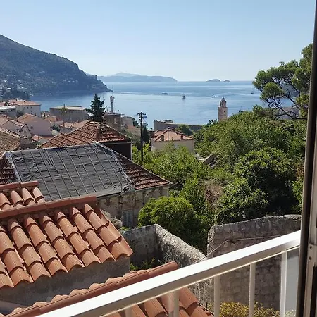 Turtle Dubrovnik