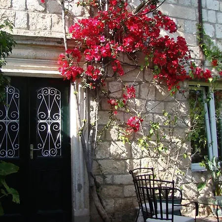 Apartament Turtle Dubrownik