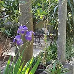 海龟公寓酒店 * 杜布罗夫尼克