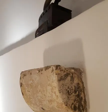 דירה Turtle *